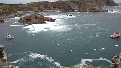 IMG_0017