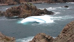 IMG_0026