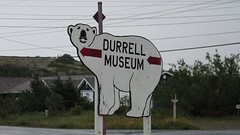 IMG_0036