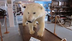 IMG_0037