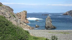 IMG_0078