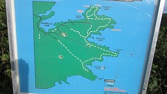 IMG_0184
