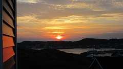 IMG_0001