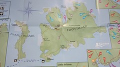 IMG_0012