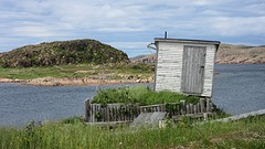 IMG_0100