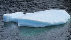 IMG_0072