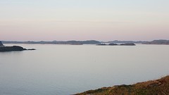 IMG_0010