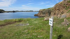 IMG_0030