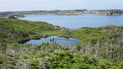 IMG_0044