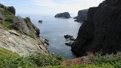 IMG_0048