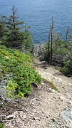 IMG_0049