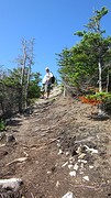 IMG_0050