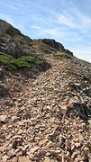 IMG_0057