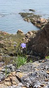 IMG_0063
