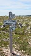 IMG_0056
