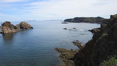 IMG_0064