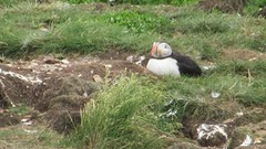 IMG_0054