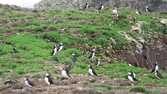 IMG_0065