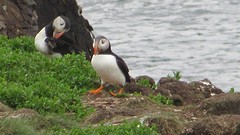 IMG_0073