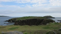 IMG_0031