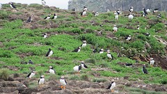 IMG_0011