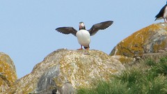 IMG_0093
