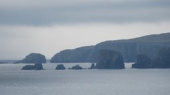 IMG_0061