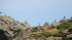 IMG_0090