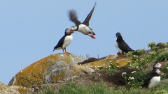 IMG_0095