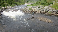 IMG_0134