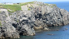 IMG_0121