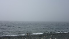 IMG_0129