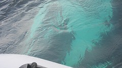 IMG_0167