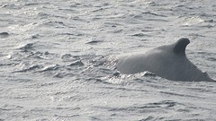 IMG_0187