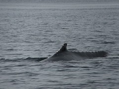 IMG_0209