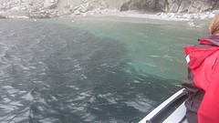 IMG_0302
