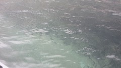 IMG_0309
