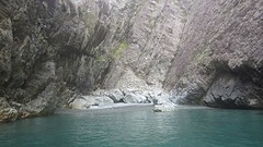 IMG_0318