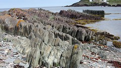 IMG_0083