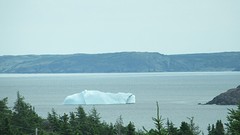 IMG_0104