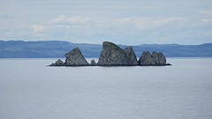 IMG_0114