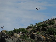 IMG_0050