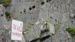 IMG_0100