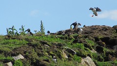 IMG_0036