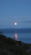 IMG_0008 - kopie