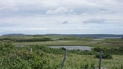 IMG_0051 - kopie