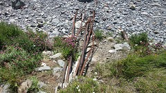 IMG_0084