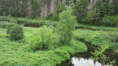 IMG_0009