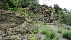 IMG_0011