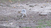 IMG_1213